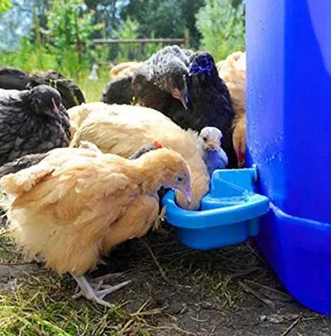 0.5L Automatic Chicken Drinker Cup For Poultry Chicken Duck Goose Turkey Rabbit Small Pet