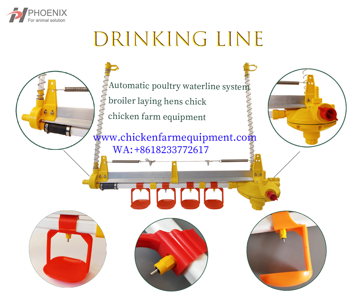 drinker line