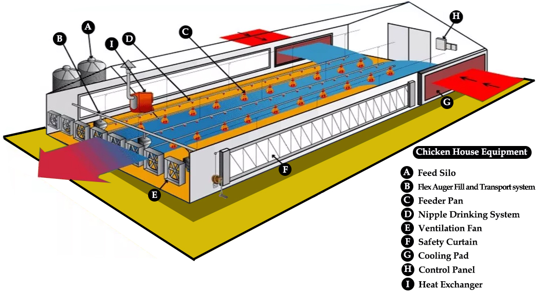 automatic chicken house