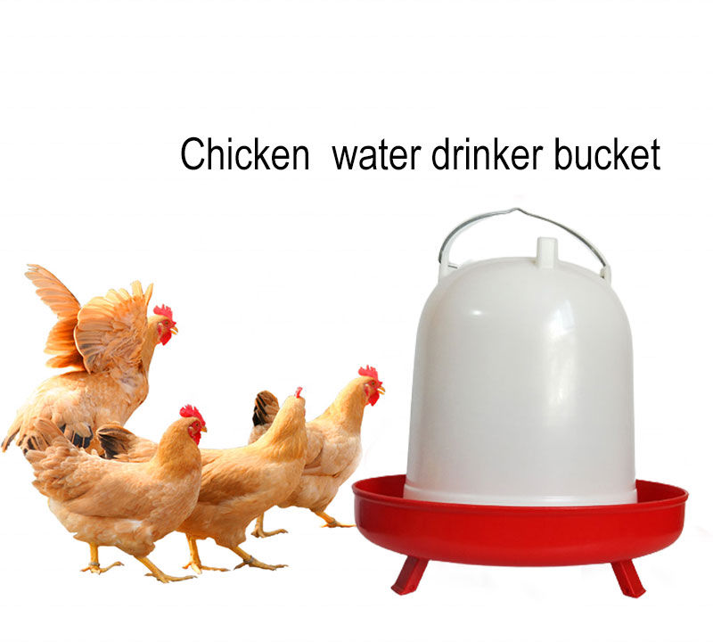 chicken farm equipment (20)