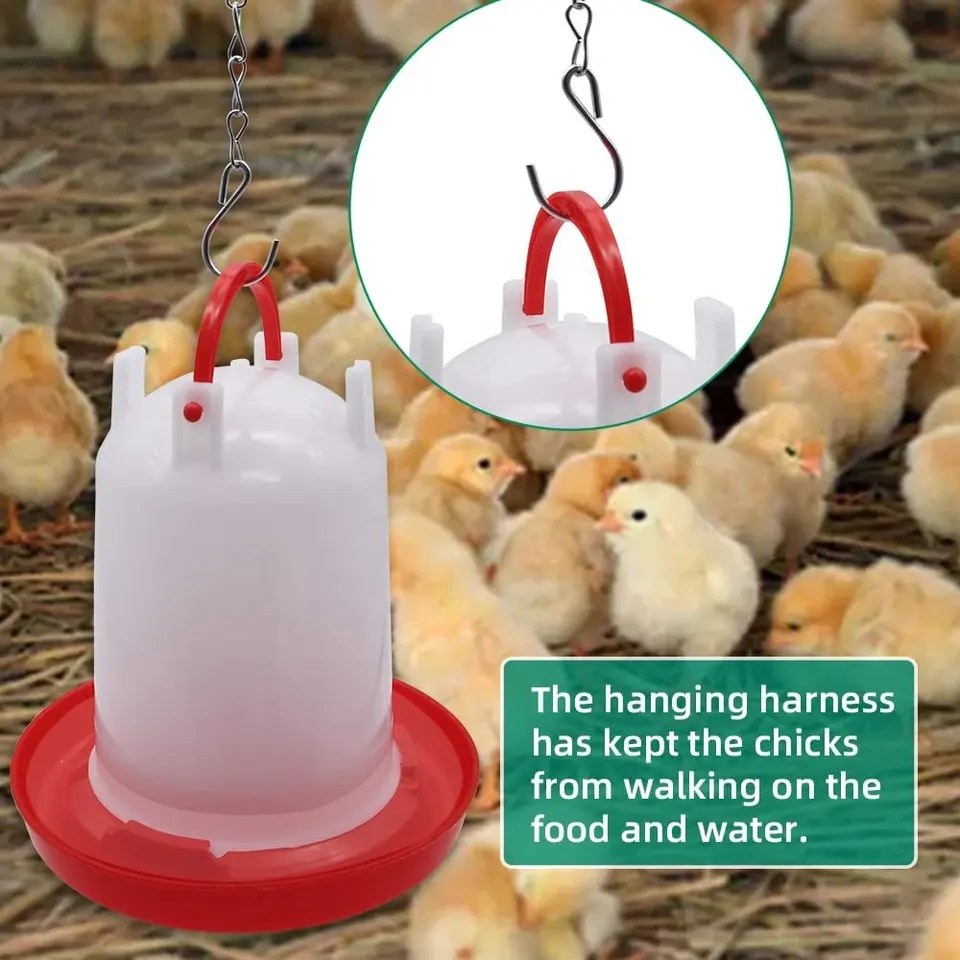 poultry feeder and drinker (12)