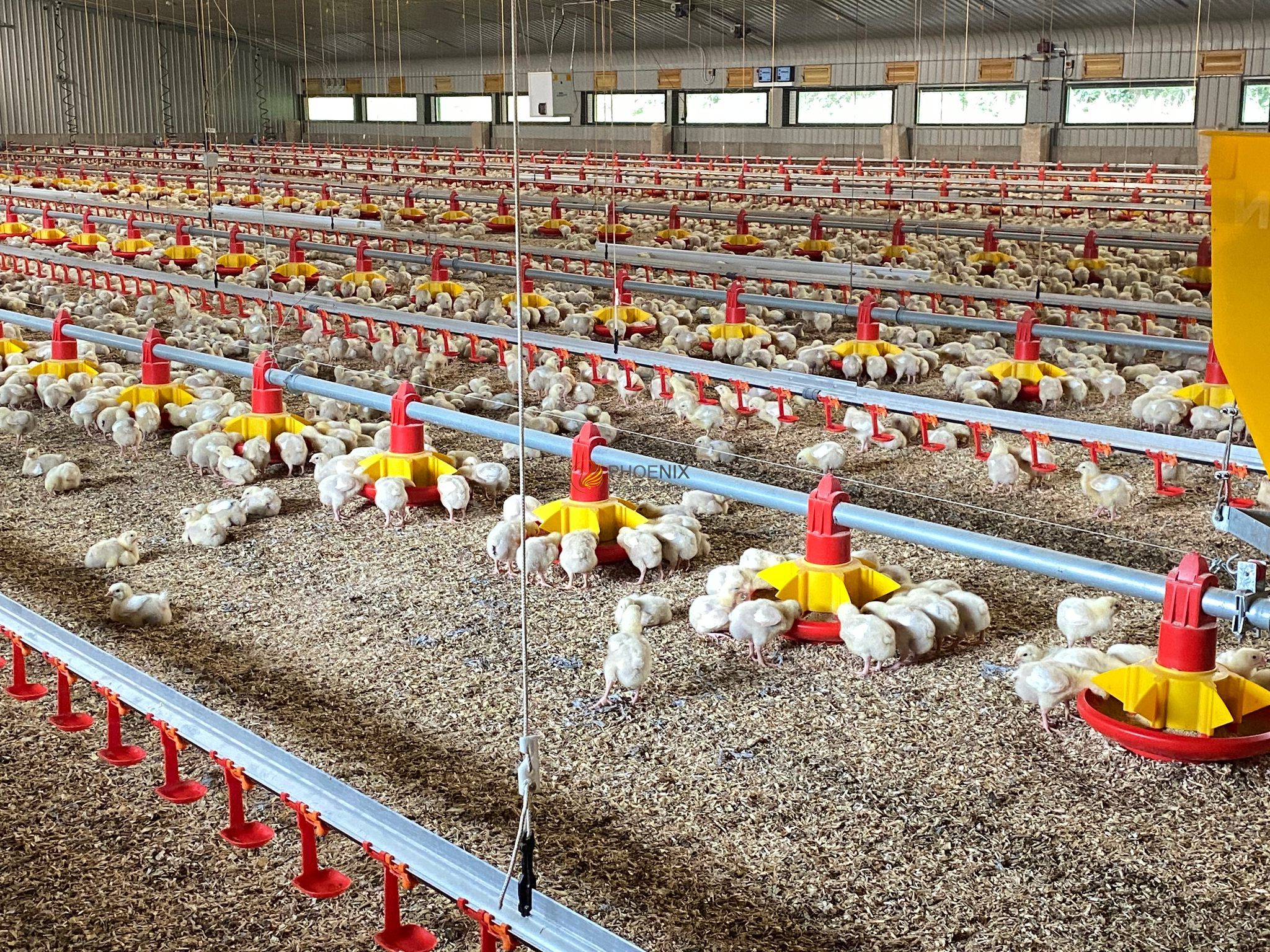 fully automatic chicken house (1).png