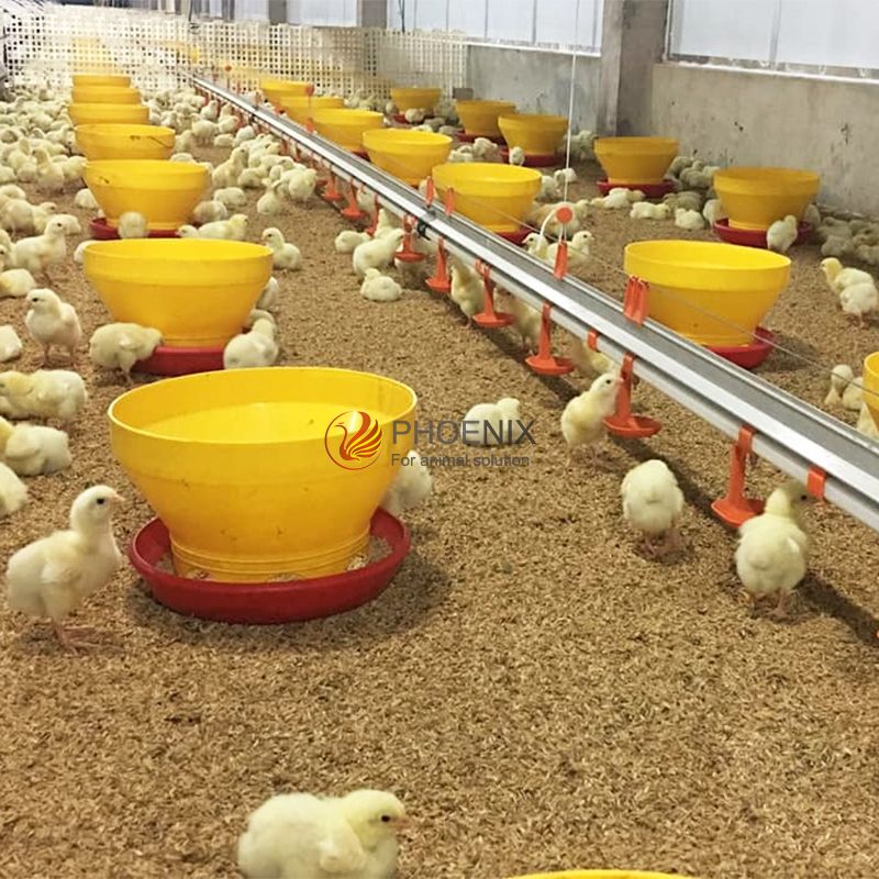 automatic feeding and drinking line.jpg